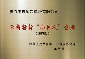 國(guó)家級(jí)專(zhuān)精特新小巨人企業(yè)